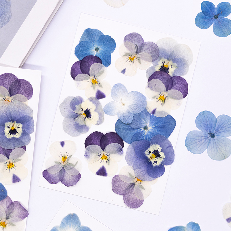 12pcs,Real Viola Cornuta Press - огляд і ціна Supplies Of Candle
