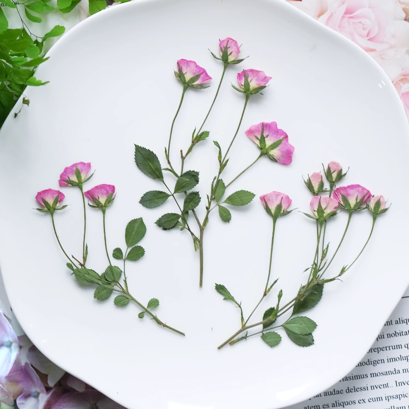 12pcs,Mini Pink Rose Pressed F - огляд і ціна Supplies Of Candle